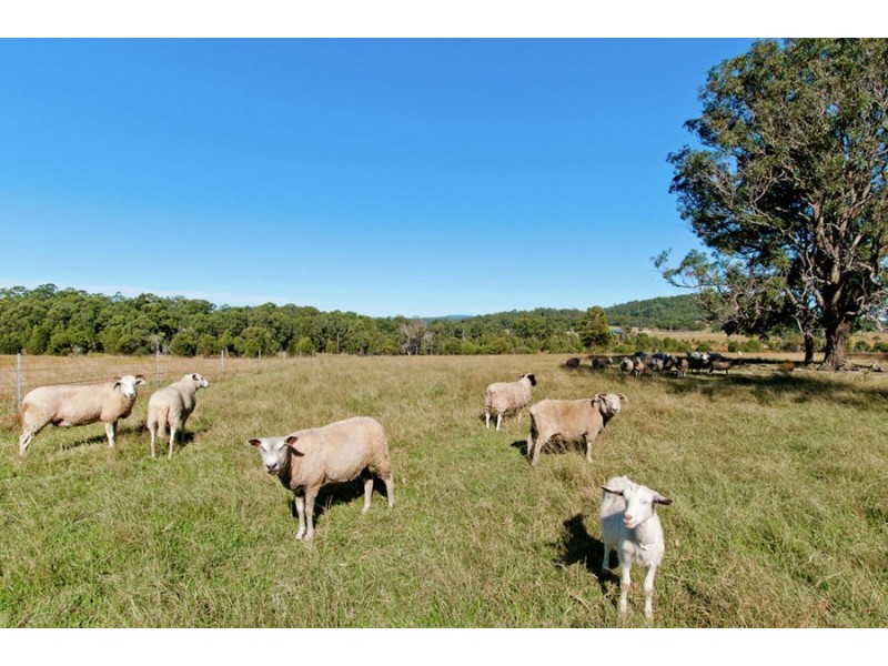 3736 Wallanbah Rd, Nabiac NSW 2312