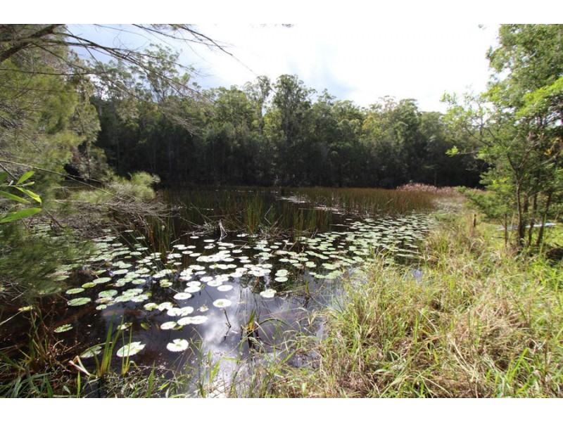 421 Minimbah Rd, Nabiac NSW 2312