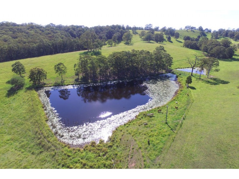 511 Minimbah Road, Nabiac NSW 2312