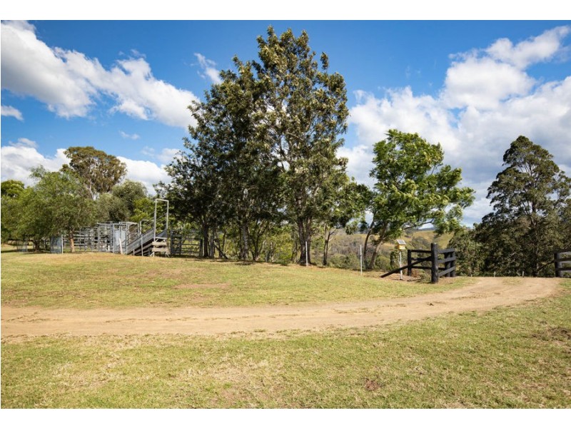 Bunyah NSW 2429