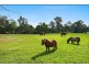 Nabiac NSW 2312