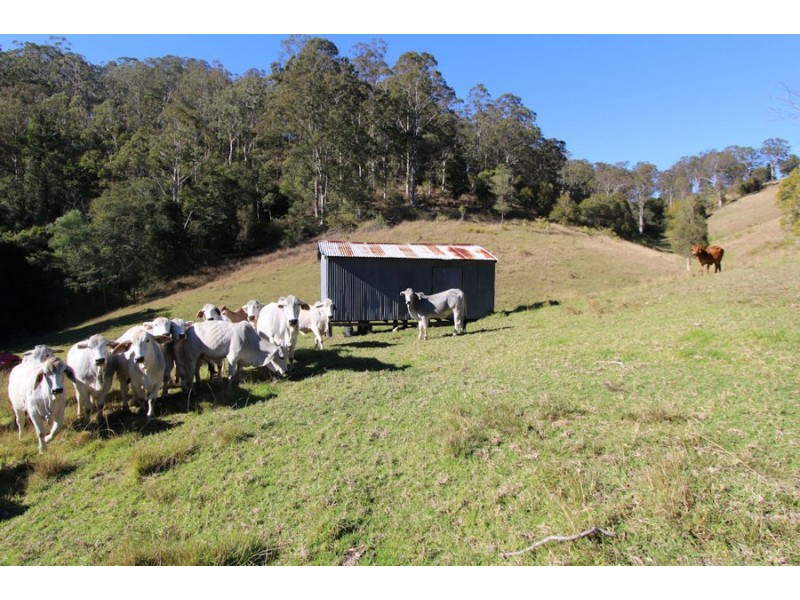 Lot 104 DP 1098 Tipperary Road, Tipperary NSW 2429