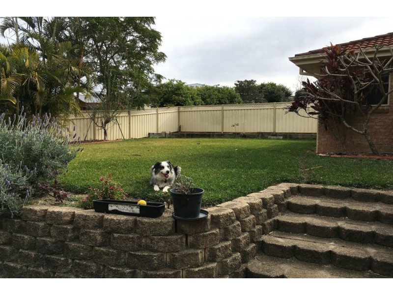 Tallwoods Village NSW 2430