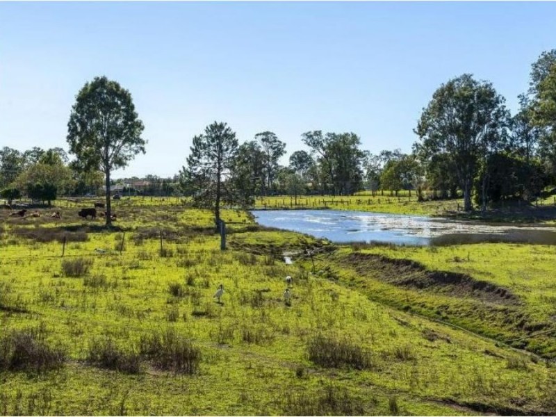 46/60 Beattie Road, Coomera QLD 4209