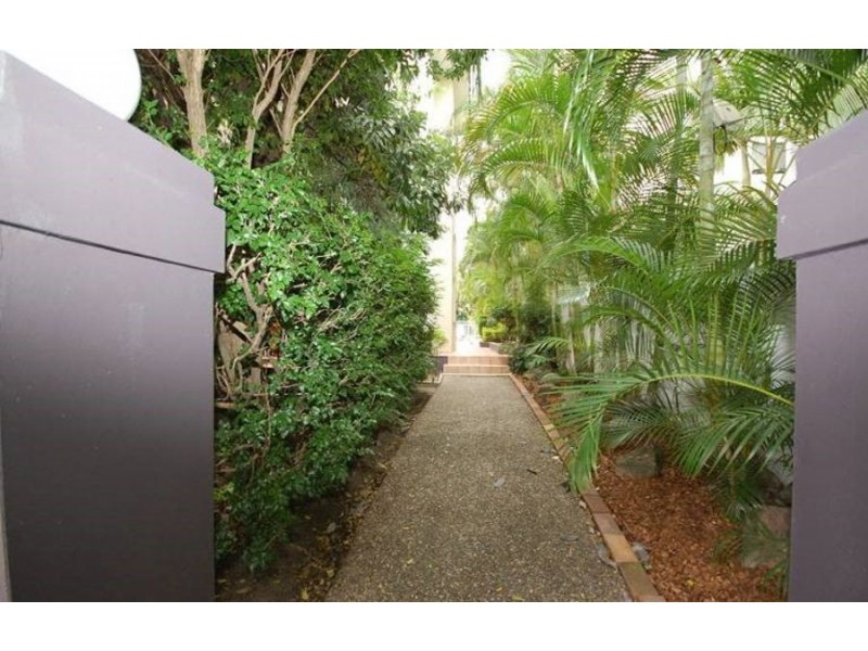 13/33 Cypress Avenue, Surfers Paradise QLD 4217