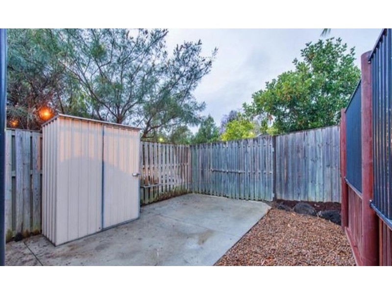 37 Carmarthen Circuit, Pacific Pines QLD 4211