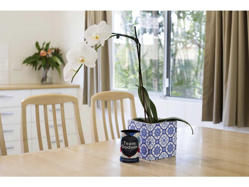 9  Alkira Street, Buddina QLD 4575