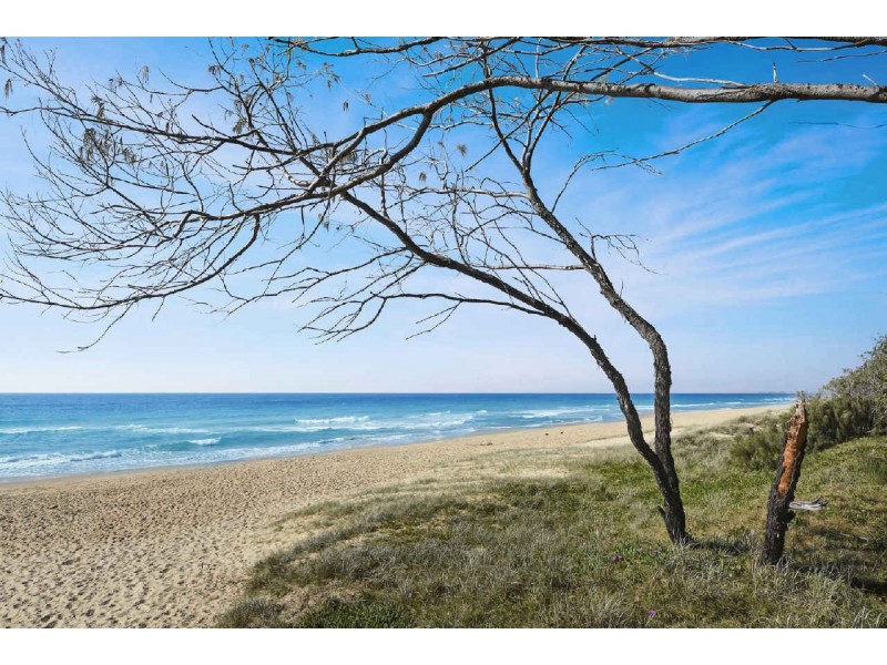 46  Yaringa Avenue, Buddina QLD 4575