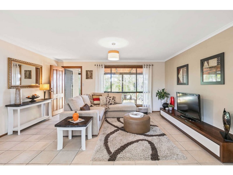 13  Bandaroo Street, Warana QLD 4575