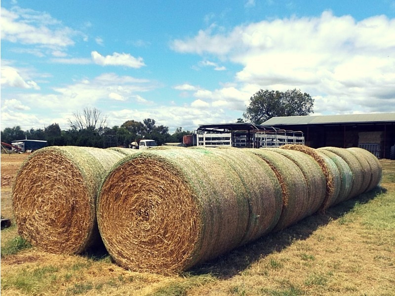 14R Nulla Road, Dubbo NSW 2830