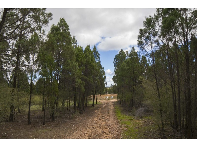 4L Ascot Park Road, Dubbo NSW 2830
