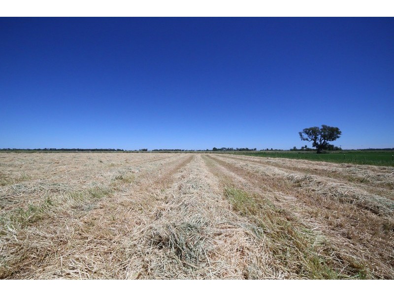 14R Nulla Road, Dubbo NSW 2830