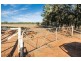 239R Mogriguy Road, Eumungerie NSW 2831