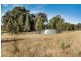 239R Mogriguy Road, Eumungerie NSW 2831