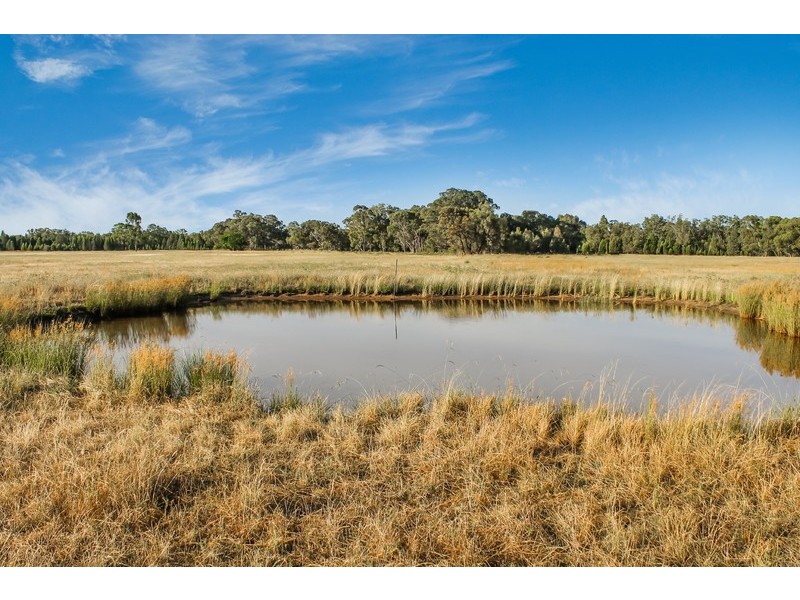 239R Mogriguy Road, Eumungerie NSW 2831