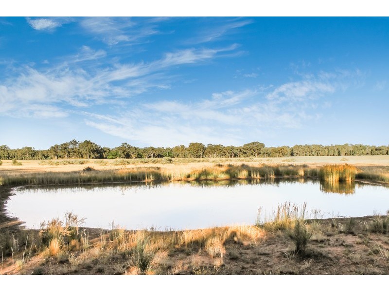 239R Mogriguy Road, Eumungerie NSW 2831