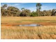 239R Mogriguy Road, Eumungerie NSW 2831