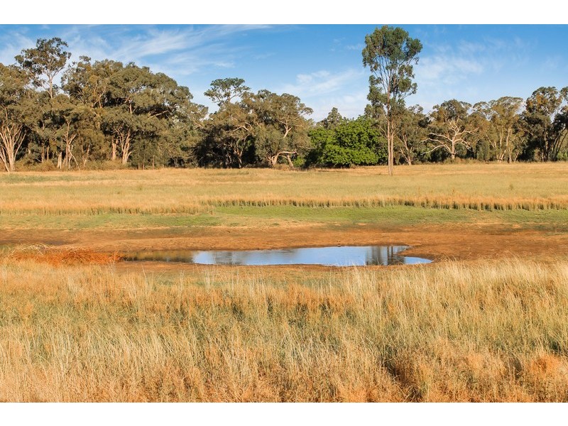 239R Mogriguy Road, Eumungerie NSW 2831