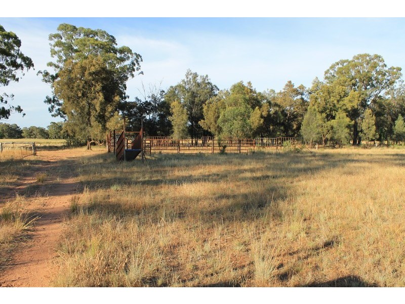 239R Mogriguy Road, Eumungerie NSW 2831