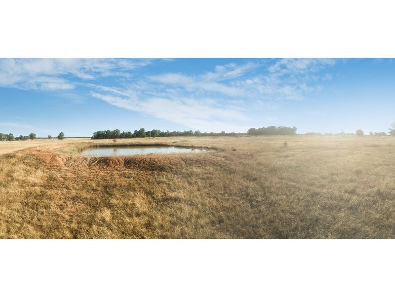239R Mogriguy Road, Eumungerie NSW 2831