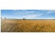 239R Mogriguy Road, Eumungerie NSW 2831