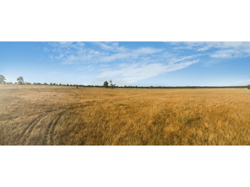 239R Mogriguy Road, Eumungerie NSW 2831