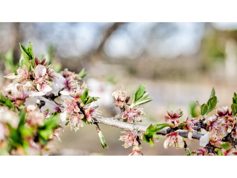 1R Dunlop Road, Dubbo NSW 2830