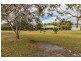 52 Osborne Court, Wallu QLD 4570
