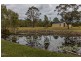 50 Osborne Court, Wallu QLD 4570