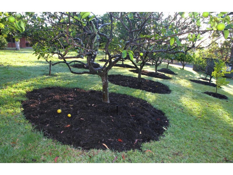 94 Lake Russell Drive, Emerald Beach NSW 2456