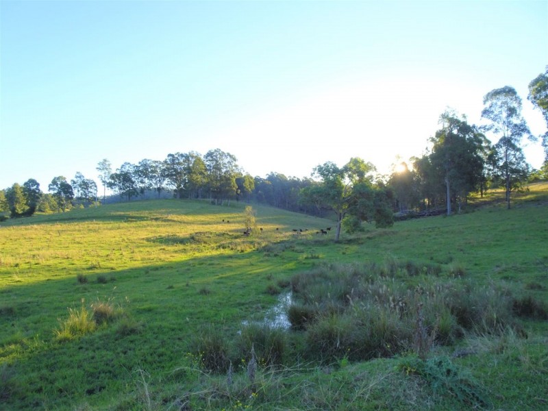 2634 Coaldale Road, Coaldale NSW 2460