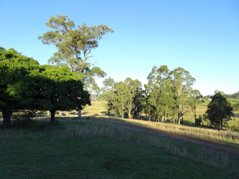 2634 Coaldale Road, Coaldale NSW 2460