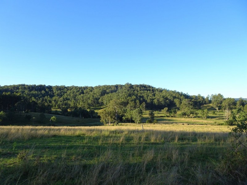 2634 Coaldale Road, Coaldale NSW 2460