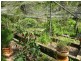76 Fairview Road, Sapphire Beach NSW 2450