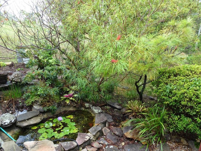 9 Arkan Avenue, Woolgoolga NSW 2456