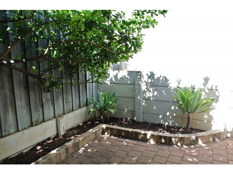 C/10 Kinsella Street, Joondanna WA 6060