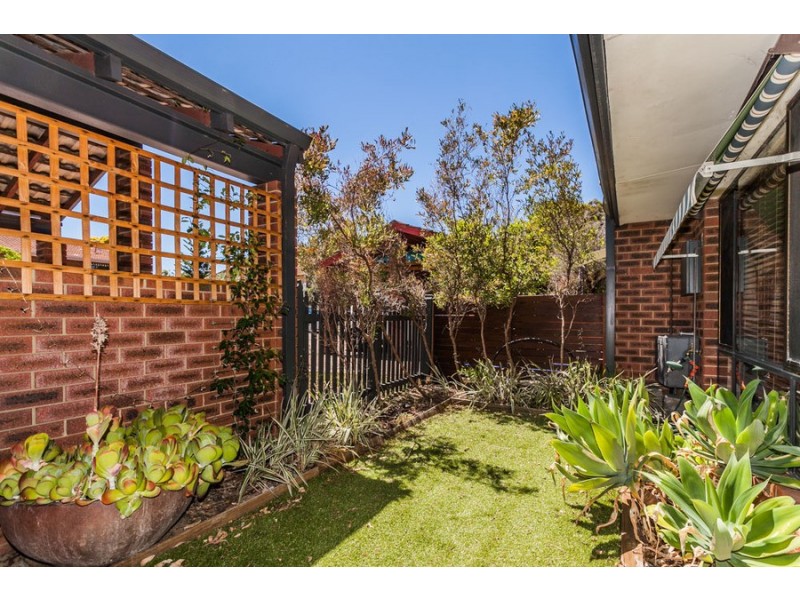 24 Windich Place, Leederville WA 6007