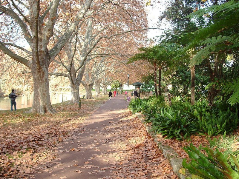 3/156 Lincoln Street, Highgate WA 6003