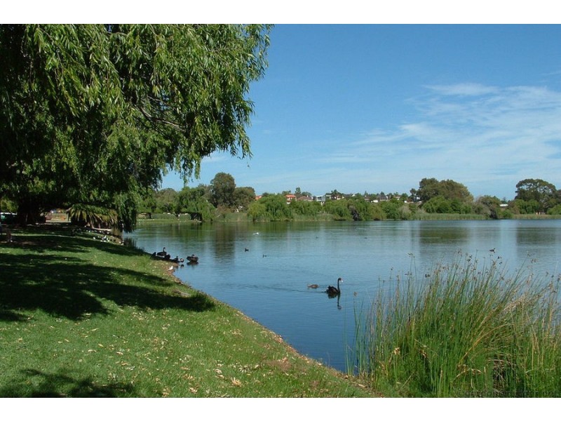 80 Northwood Street, West Leederville WA 6007