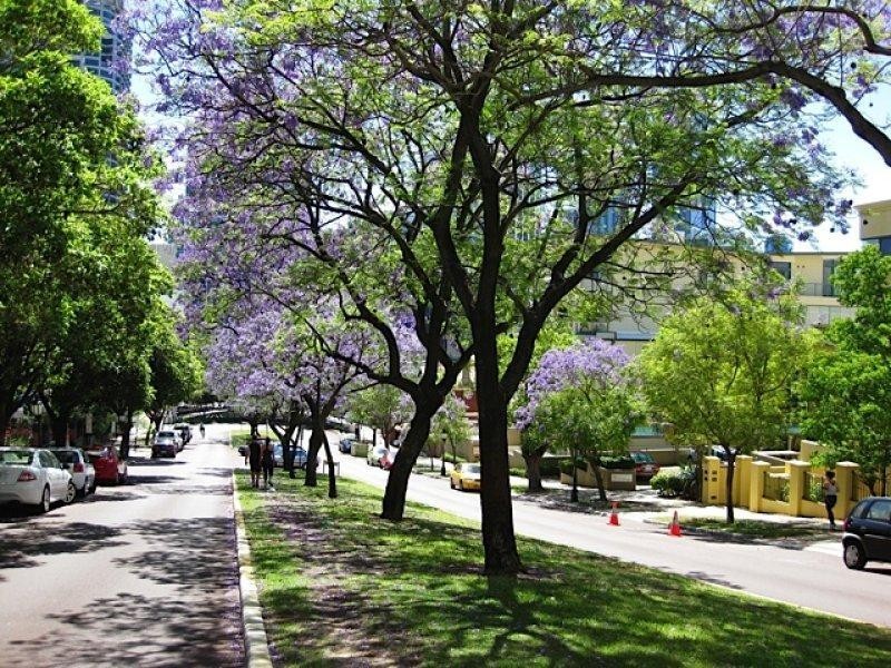 5A/46 Mount Street, West Perth WA 6005