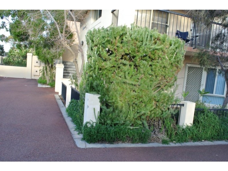 1/373 Cambridge Street, Wembley WA 6014