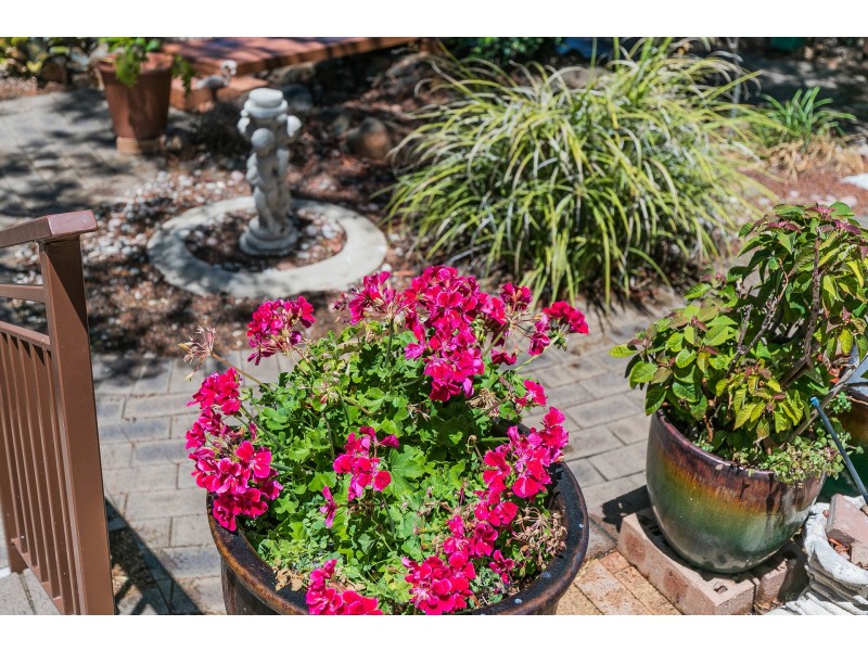 172 Morley Drive, Yokine WA 6060