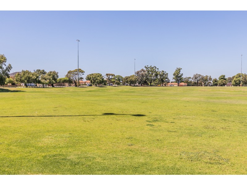 172 Morley Drive, Yokine WA 6060