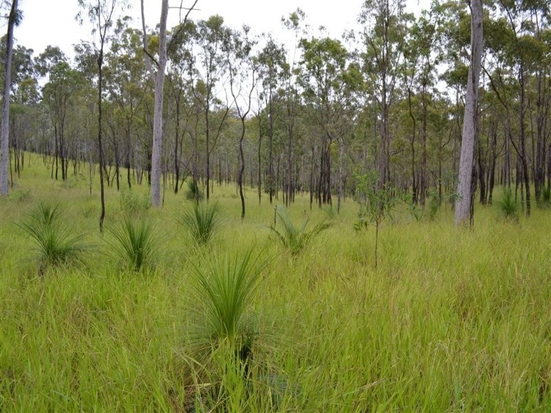 140 Limestone Road, Bouldercombe QLD 4702