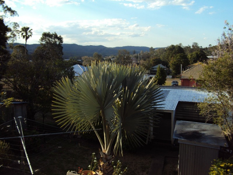 57 Darcy Street, Mount Morgan QLD 4714