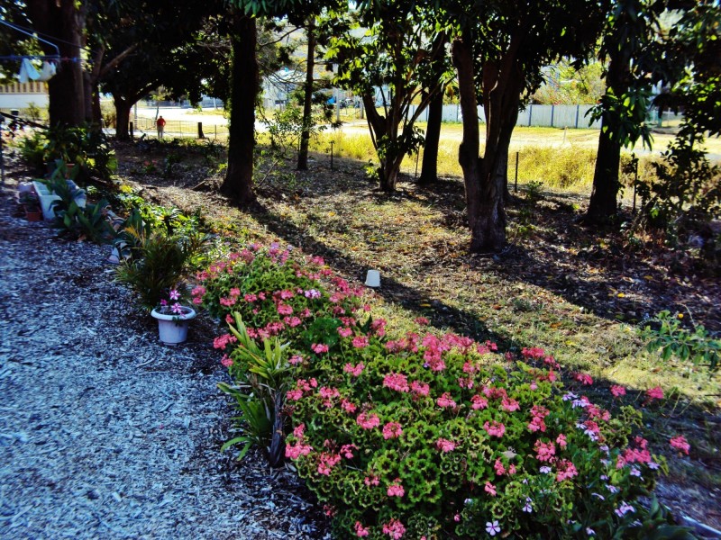 36 East Street, Mount Morgan QLD 4714