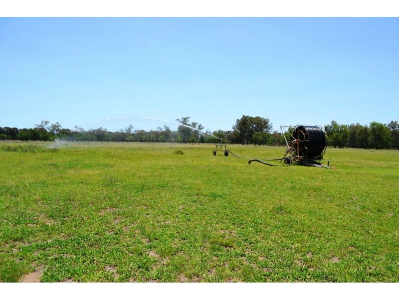 665 Wowan-Dululu Road, Wowan QLD 4702