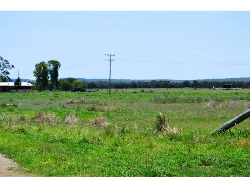 665 Wowan-Dululu Road, Wowan QLD 4702