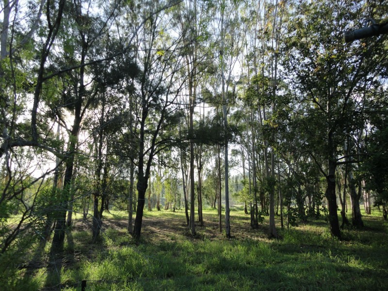 26 Glen Gordon Street, Mount Morgan QLD 4714