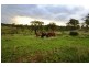 890 Boulder Road, Boulder Creek QLD 4714